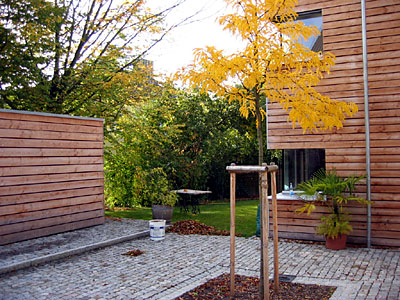 Hof, Einfamilienhaus, Hauptstrasse, Bühl