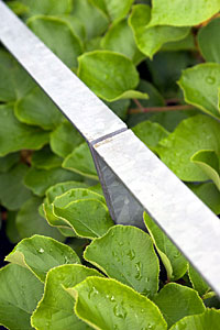 Detail Balkongeländer, Fachwerkhaus, Klotzbergstrasse, Bühl