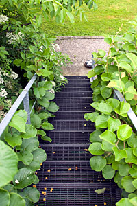 Balkondetail, Fachwerkhaus, Klotzbergstrasse, Bühl